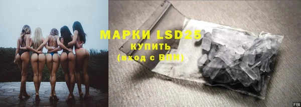 стаф Алзамай