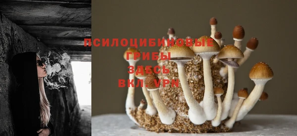 не бодяженный Абдулино