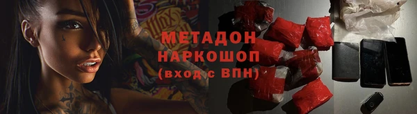 стаф Алзамай