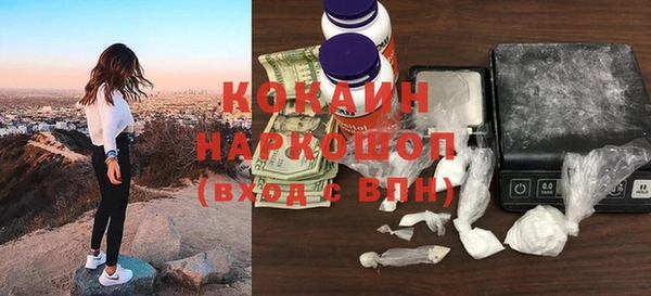 стаф Алзамай
