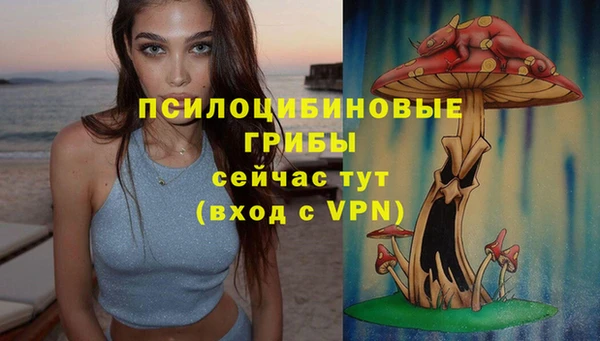 бошки Абинск