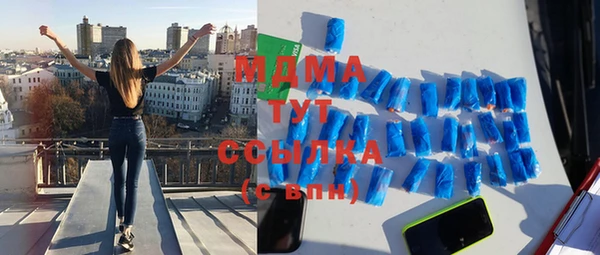 стаф Алзамай