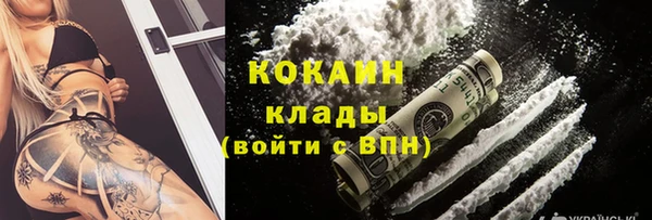 сатива Абаза