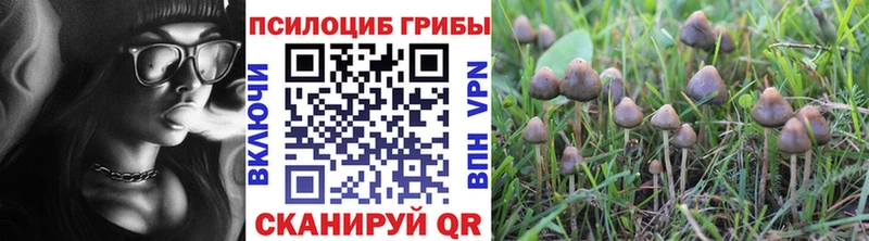 сколько стоит  Нягань  Галлюциногенные грибы ЛСД 
